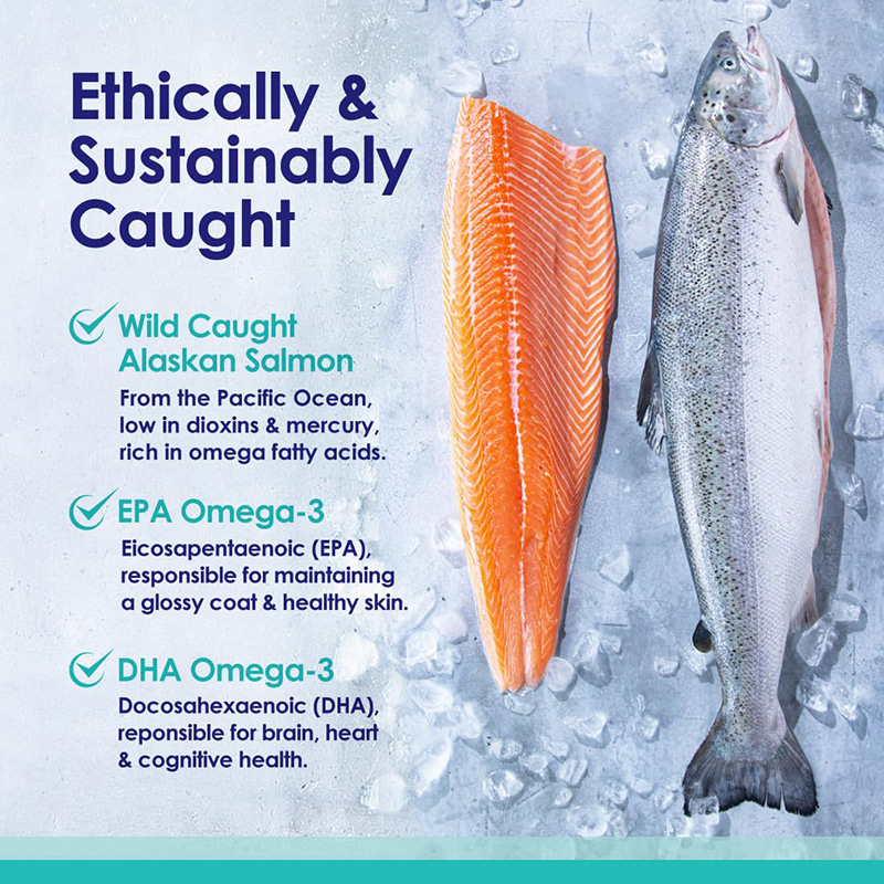 Omega 3 Fish Oil for Dogs, Wil - Omega 3 Fish Oil review and price
